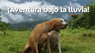 Camping in the rain at Cerro Azul: Nature and tranquility