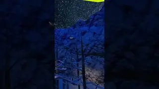 Things to do in gorilla tag when bored Pt.1 