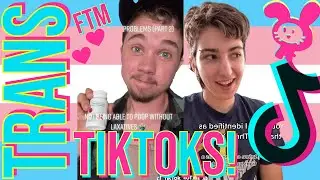 🏳️‍⚧️ Trans TikToks! 🏳️‍⚧️ FTM Edition | #tiktokviral #transrightsarehumanrights #FTM #pride