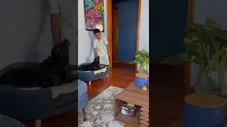 My son’s dog love ❤️