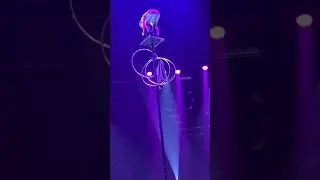 Zirkus Show