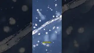 What are Airplane Contrails #scienceexploration #science #physics