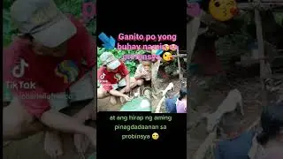 MASAYA KAMING PAMILYA KAHIT MARAMING PAGSUBOK SA BUHAY NAGPATULOY PARIN 😘 ( BUKID IS LIFE )
