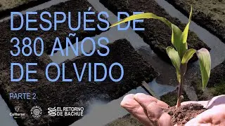 Cómo REVIVIR una tecnología ancestral MUISCA