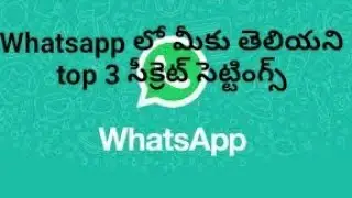 top 3 what's app secret settings