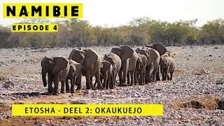 Namibie Episode 4 - ETOSHA (Take note: Elephants mate in this video)