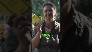 Забудь про муравьев в огороде 