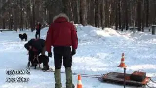 Вейт Пуллинг кубок Пермского края 07.03.2011
