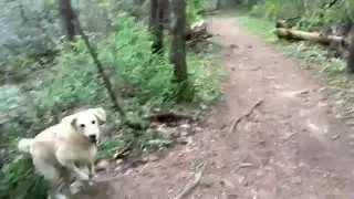Walk with me.
