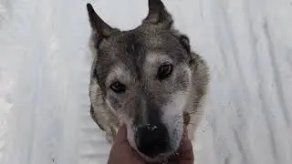 ОТЕЦ - Я - БИЯ - В ЛЕСУ !!!