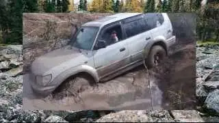 #391. Mitsubishi Pajero против Toyota Prado в грязи (часть 2)