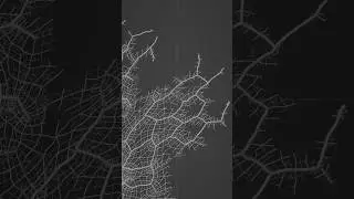 Mesh reconstruction growth test for my next project 😎 #blender #blendergeometrynodes  #vfx