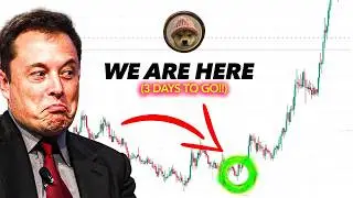 Should You Buy Dogwifhat NOW?? Project Update
