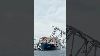 The captain missed it—ship crashed into the bridge. One lapse, and that’s all it took
