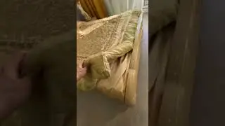 Без названия