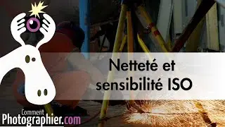 La sensibilité ISO influence parfois la netteté