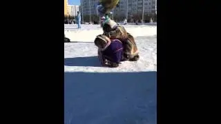 Ямальский UFC
