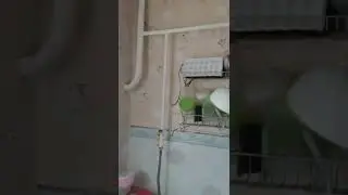 Аренда двухкомнатной квартиры в Москве рядом с метро Тушинская