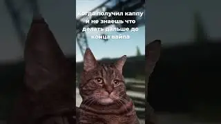 когда получил каппу 