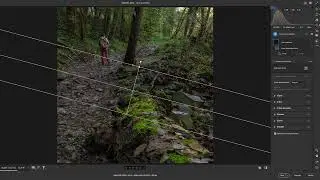 👍👍 EDICIÓN MUY SENCILLA DE UN BOSQUE EN PHOTOSHOP👍👍