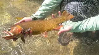 Fly Fishing West Finale | Idaho Pt. II |