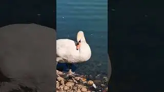 Это для Души