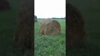 25 июля 2024 г.
