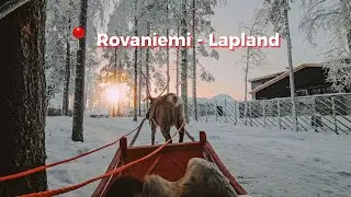 Santa Claus Reindeer 4K 🦌- Santa Claus Village / Rovaniemi Lapland 2024 🎅🏼