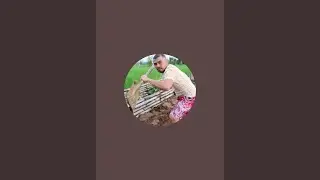 LET'S PLAY THIS GAME, PUZZLE NUMBERS, SATISFYING