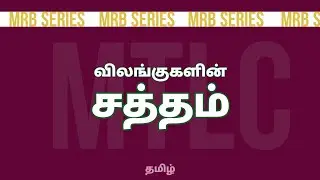 விலங்குகளின் சத்தம் | MTLC | MRB