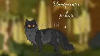 Биография Щербатой / Интересные факты/ Коты воители / Белолапая WC
