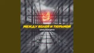 Между волей и тюрьмой