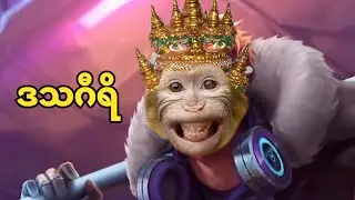 SUN.MV | The King monarch | ဒသSUN