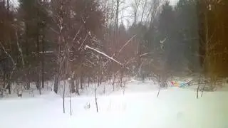 Snowday