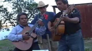 dueto ciclon de san pedro cajonos  video clips  0001