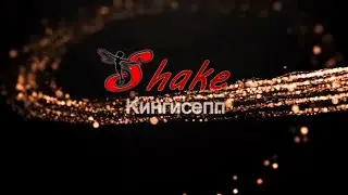 Shake | Popping | набор в новую группу