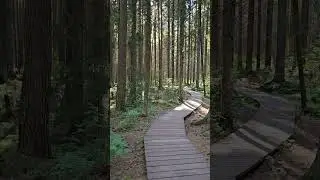 "Комаровский берег", экотропа 🌿