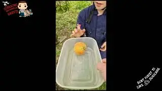 Bike ride to pick peaches at the farm