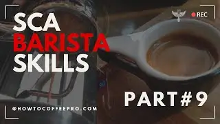 Part 9 - SCA Barista Foundation - Safety and Bar Workflow