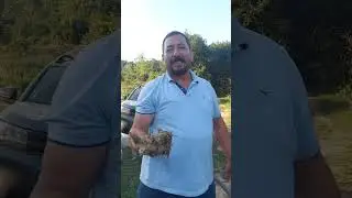 Sepet kovan daha önce niyet etmiştik ama bu sene hazırlıkları yapıp seneye aktif hale getireceğiz