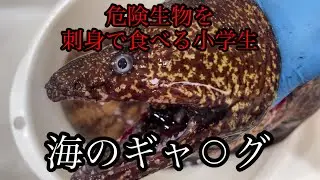 冬の釣りで大興奮！ヒラメ＆キジハタ＆危険生物ウツボを小学生が釣り上げた！