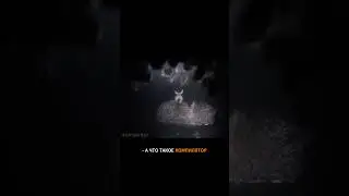 Что такое компилятор