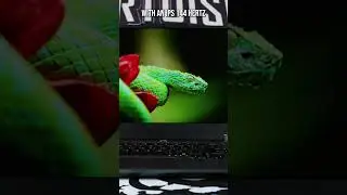 💻Lenovo LOQ 15iRX9 first look! #Evetech #Lenovo #LenovoLOQ15iRX9