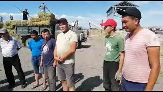 Маңғыстау ағайындыларға көмек,  шөп жинау Масақ ауылы тупик