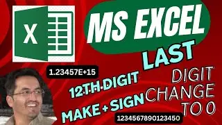 MS Excel Sixteen Digit change to 0 | MS Excel Twelve digit changed to Plus Sign . 100% Solutions