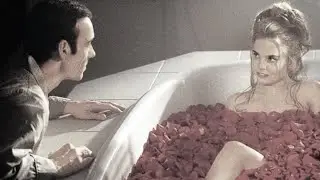 ＰＩＮＫＰＡＮＴＨＥＲＥＳＳ - ＡＴＴＲＡＣＴＥＤ ＴＯ ＹＯＵ (American Beauty Edit)