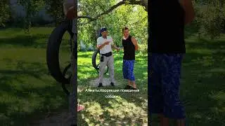 dog behavior correction