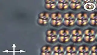 Heliknotons in liquid crystals
