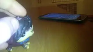 Лпс клиа вы видели как умерают киты?
