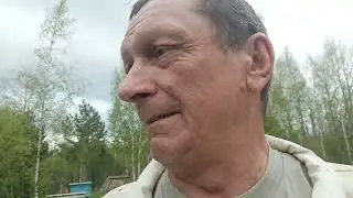 Первая  прививка  маточек 18 Мая . Карника ( лунц ) .